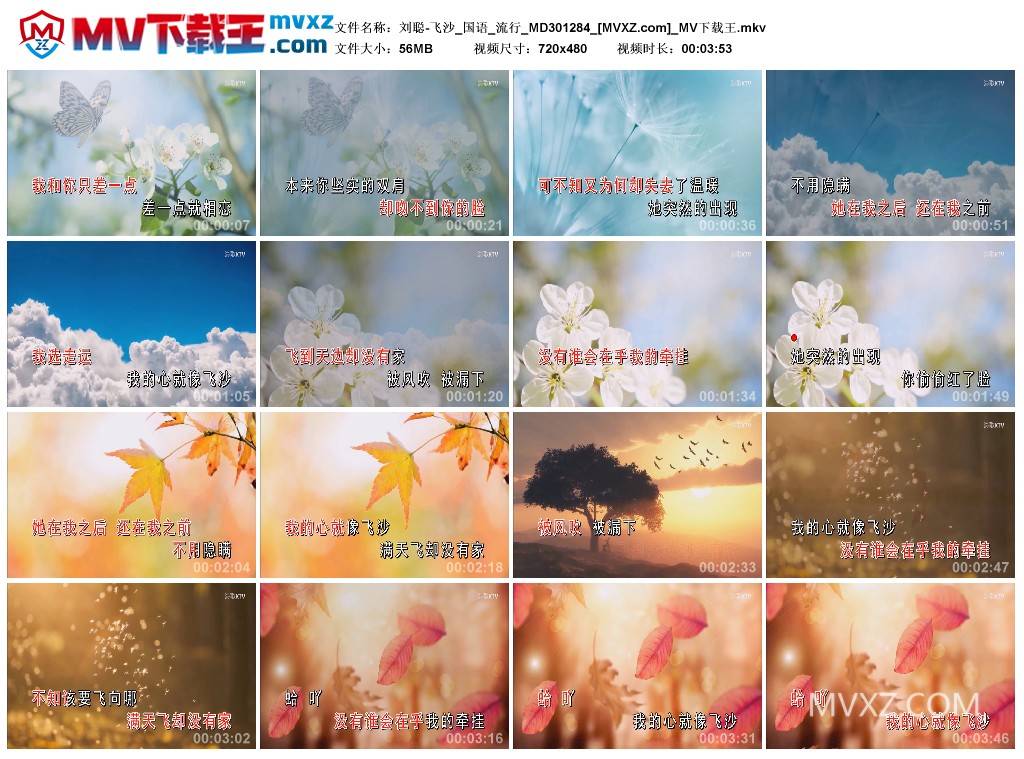 刘聪-飞沙_国语_流行_MD301284